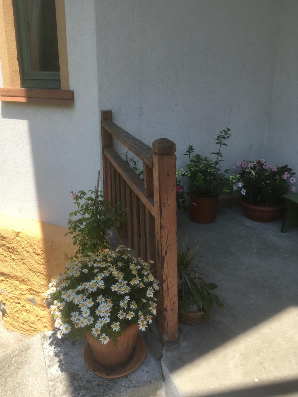 Bed and Breakfast L'Aria Di Casa Alagna Valsesia Zewnętrze zdjęcie